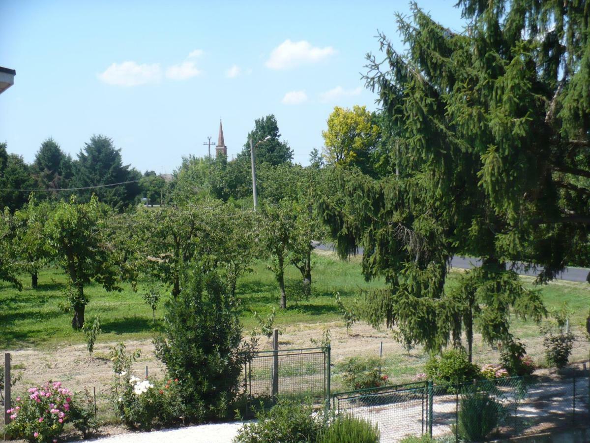 L'Albero Della Gioia Bed and Breakfast Villanova sull'Arda Exteriör bild