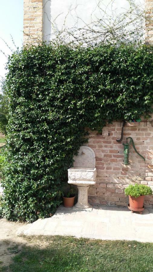 L'Albero Della Gioia Bed and Breakfast Villanova sull'Arda Exteriör bild
